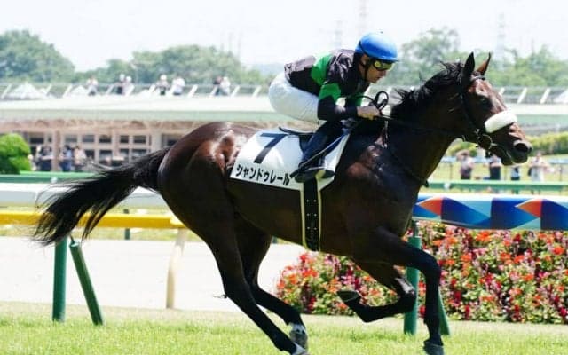 【新馬/東京5R】エピファネイア産駒 シャンドゥレールがデビューV
