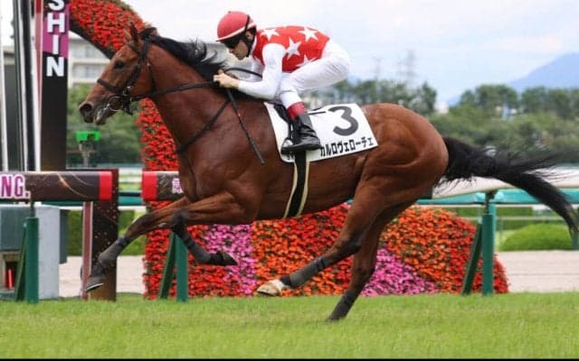 【新馬/阪神5R】出世レースをカルロヴェローチェが完勝