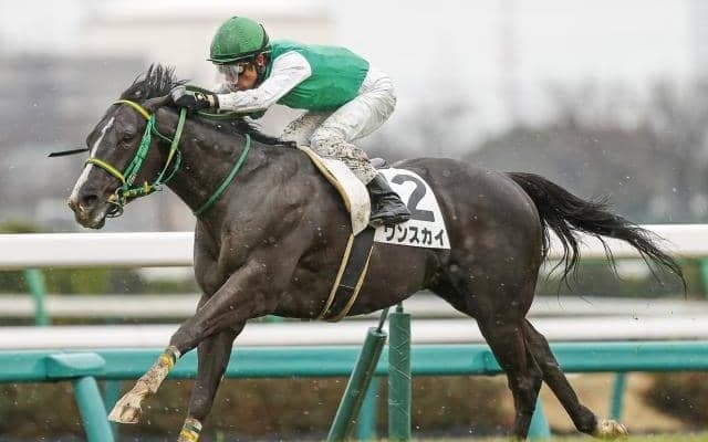 【今日の注目ポイント】ローカル3場開催がスタート、新馬戦では新種牡馬の産駒が続々デビュー
