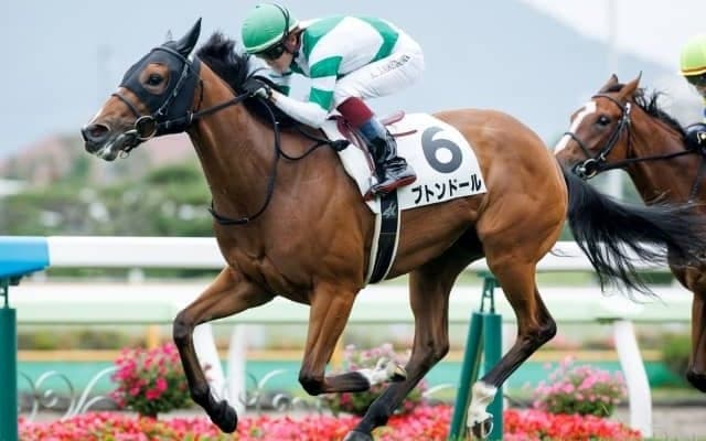  【函館5R新馬戦結果】ブトンドールが抜け出しビッグアーサー産駒のワンツー