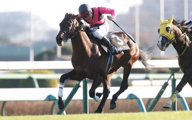 【ラジオNIKKEI賞前日オッズ】ボーンディスウェイが4.4倍で1番人気