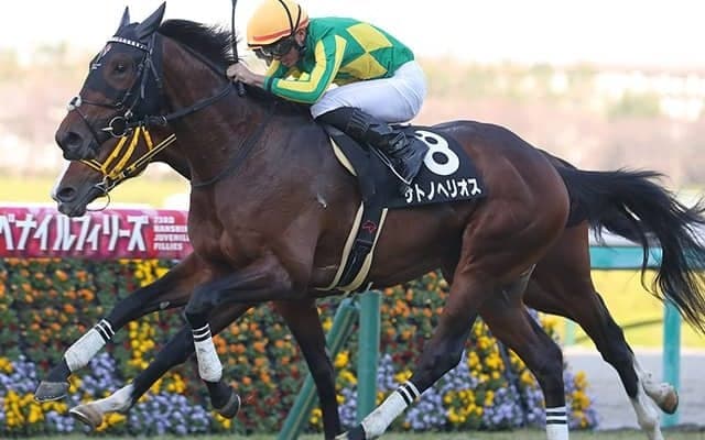 【ラジオNIKKEI賞予想】過信は禁物!? 素質十分も気になるのは激戦の疲れ