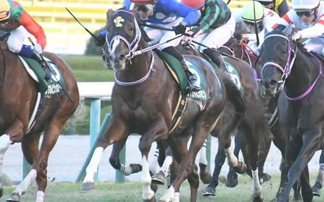 【AI予想・CBC賞】開花目前!? 昨年の雪辱果たす「豪脚一閃」のスプリンター