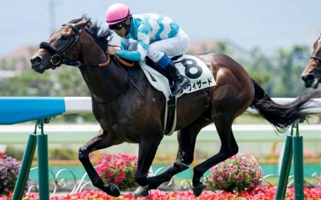 ビーチパトロール産駒がJRA初勝利 函館5Rでシーウィザードが新馬勝ち