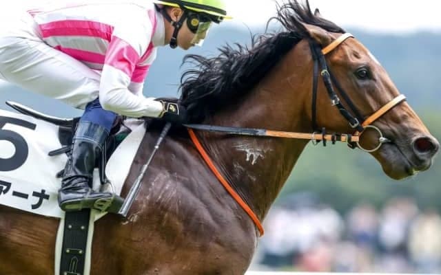 【次走】3馬身差デビュー勝ちのモリアーナはコスモス賞へ　武藤師「アルテミスSの前に1戦」