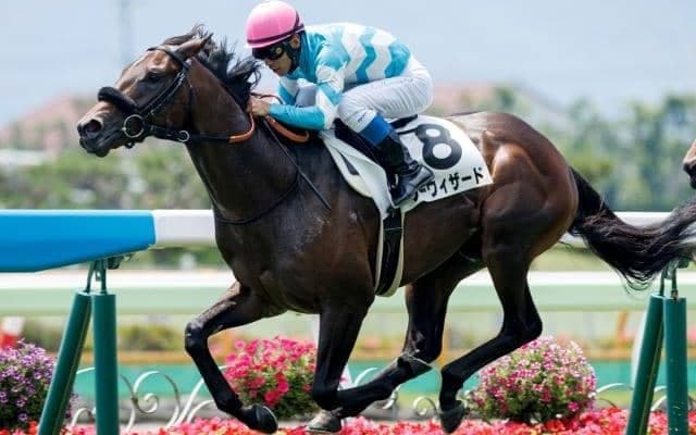 【函館5R新馬戦結果】シーウィザードが逃げ切りビーチパトロール産駒のJRA初V