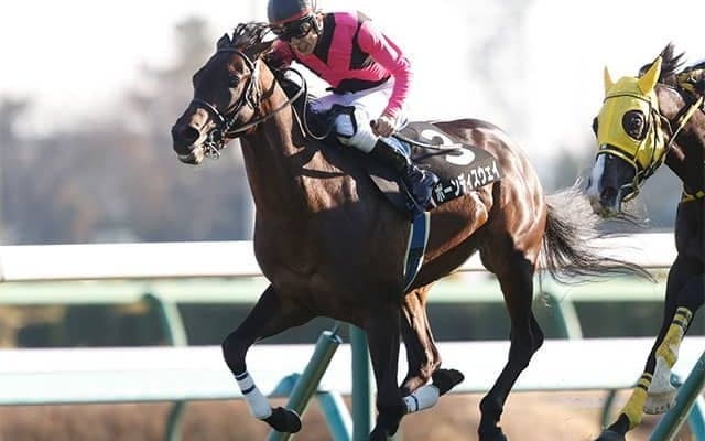 【ラジオNIKKEI賞・馬体重】ボーンディスウェイは488kg(-2)、ベジャールは564kg(0)