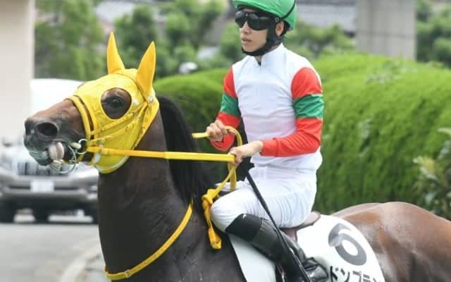 グレーターロンドン産駒がJRA初出走初勝利 小倉6Rでロンドンプランが新馬勝ち