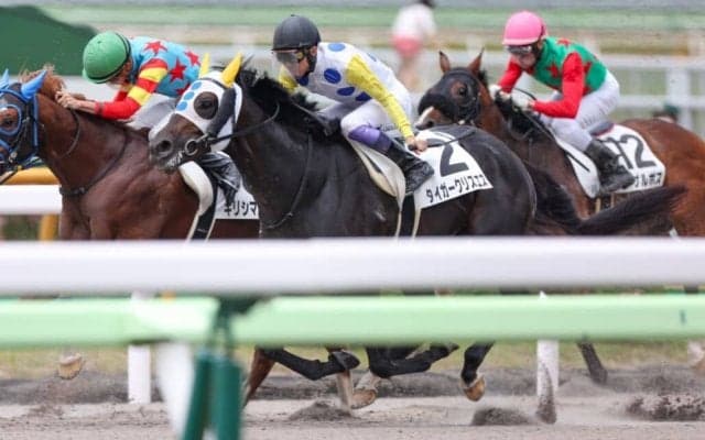 【函館2R】武豊 タイガークリスエスが初勝利