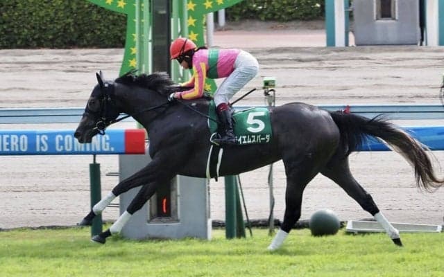 3歳以上芝1200メートルの中央競馬レコードタイム更新！