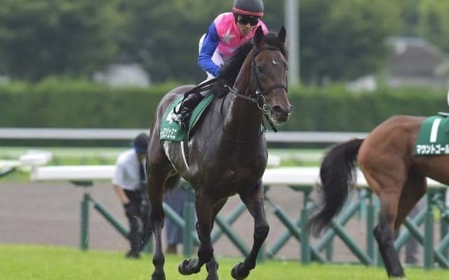 JRAで七夕賞とプロキオンS、英ジュライCにキングエルメス出走など/今週の競馬界の見どころ