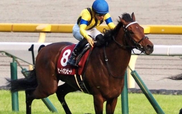 【七夕賞登録馬】ヒートオンビートなど17頭