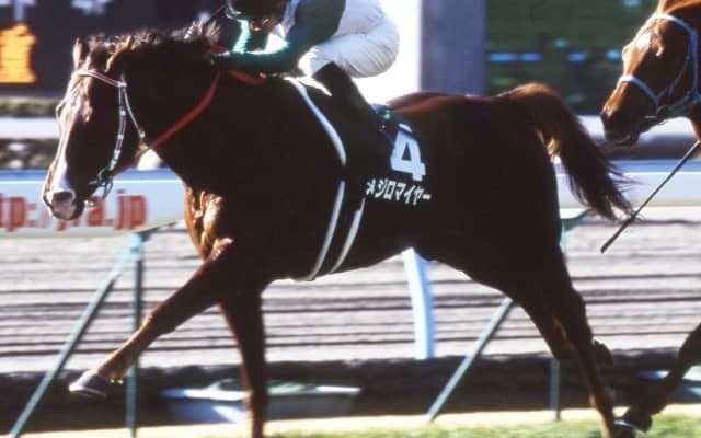 重賞2勝馬メジロマイヤーが23歳で死亡　当時の重賞最長間隔勝利記録を達成、川田将雅騎手重賞初制覇のパートナー