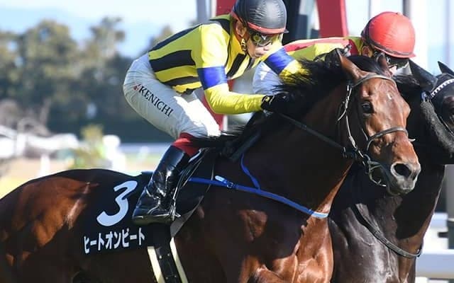 【AI予想・七夕賞】あの「良血馬」にチャンス到来!? 期待される待望の「初重賞制覇」