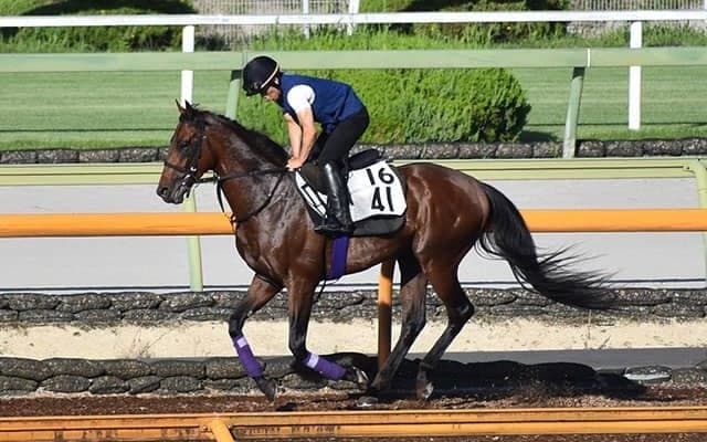 【七夕賞想定騎手】ヒートオンビートは池添謙一騎手、アンティシペイトは武藤雅騎手