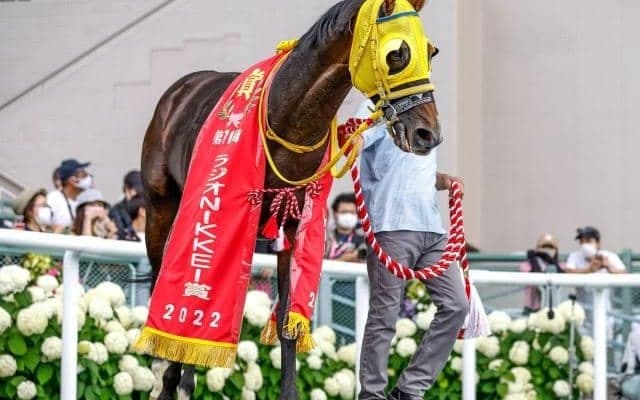 ピクシーナイトの半弟 フェーングロッテンが控える競馬に戻して連勝