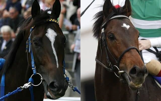 【セレクトセール2022】ハーツクライのラストクロップ全6頭を徹底解説！ さらに新種牡馬サートゥルナーリアは「すでに成功間違いなし」