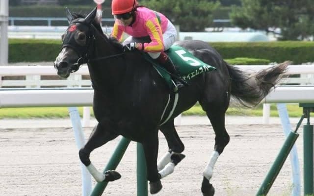 レッドスパーダ産駒テイエムスパーダ ベストな条件で逃げ切り勝ち