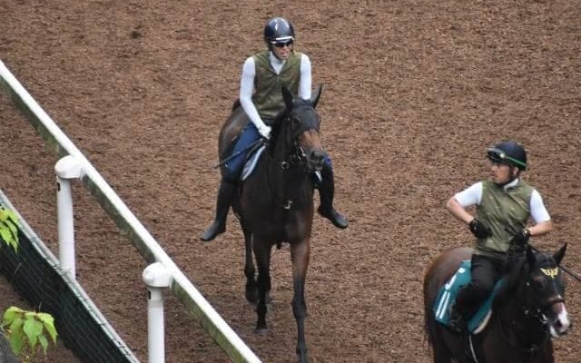 ノーブルリーズンの2020など、先週の入厩情報/栗東トレセンニュース