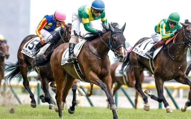 【次走】伏兵評価覆し新馬戦快勝のミシシッピテソーロはダリア賞へ　日本へ逆輸入されたダノンバラードの産駒