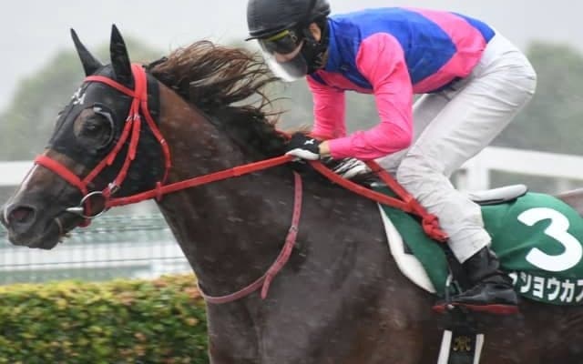 【プロキオンS】昨年は三連単194万円 波乱の鍵を握るのは出走馬の「将来性」