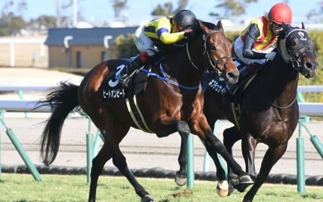 【七夕賞予想オッズ】ヒートオンビートが予想1番人気