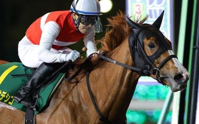 【スパーキングレディーC】ショウナンナデシコ重賞4連勝へ 史上初の快挙成し遂げた名牝に古豪がリベンジを挑む