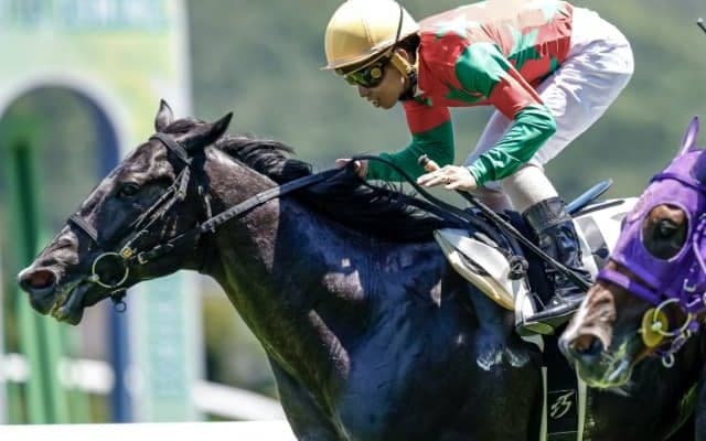 【次走】ナックブレイブはすずらん賞か秋の中山開催へ　レッドファルクス産駒として初勝利