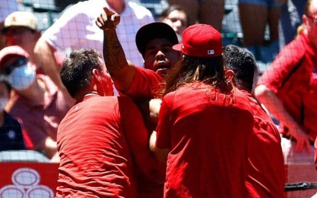 【MLB】エ軍守護神の大乱闘がネタに… 「ヒマワリの種大好き」“イジりTシャツ”にファン爆笑