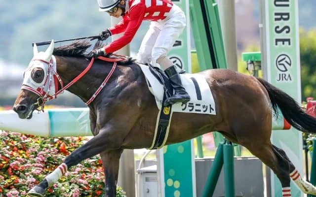 【次走】グラニットは新潟2歳S参戦を視野　シンガリ人気3着の新馬戦から2走目を逃げ切り快勝