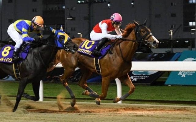 【スパーキングレディーC】ショウナンナデシコが貫禄の勝利