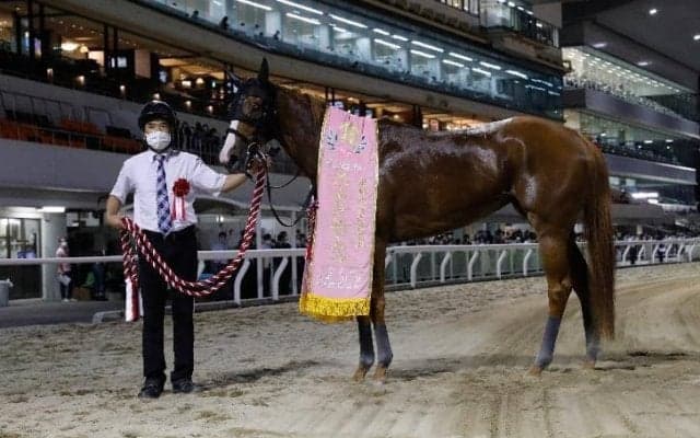 【スパーキングレディーC】吉田隼「最後は危ないところでした」ショウナンナデシコが抜け出す