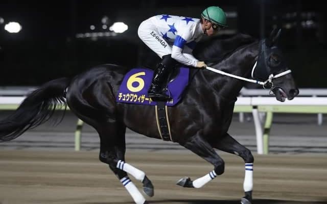 【次走】帝王賞2着のチュウワウィザードはJBCクラシックからチャンピオンズCへ