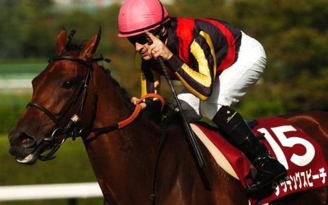 【POG】タッチングスピーチの2番仔が7/17に函館でデビュー