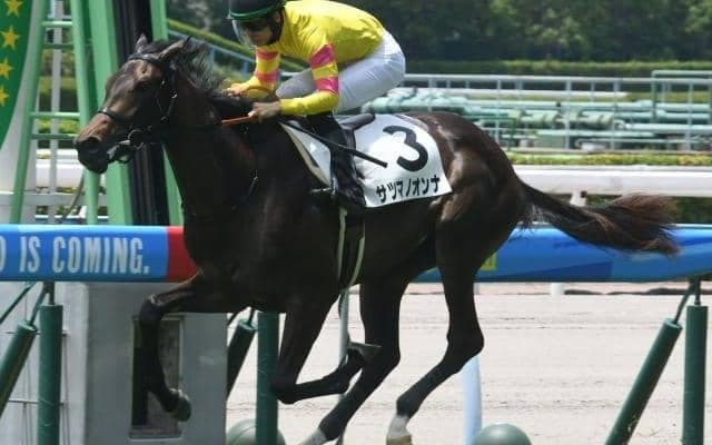 初代“薩摩の女”に続け！ 二代目サツマノオンナはひまわり賞で同一馬名2代制覇を狙う
