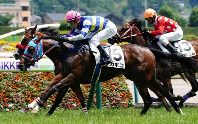 【新馬/福島6R】ブラックタイド産駒 チカポコがデビューV