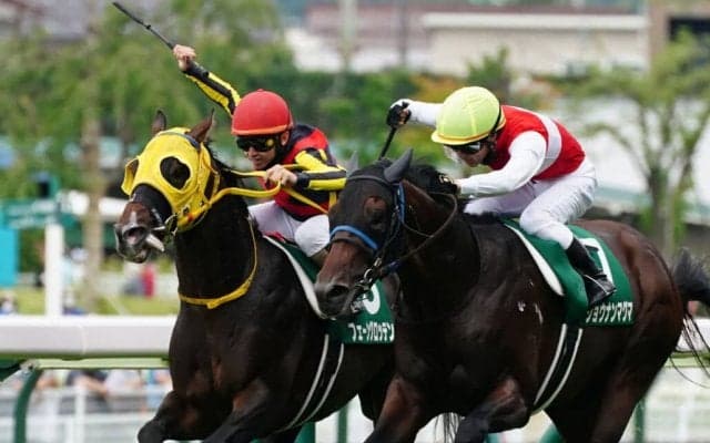 【ラジオNIKKEI賞】フェーングロッテンが重賞初制覇