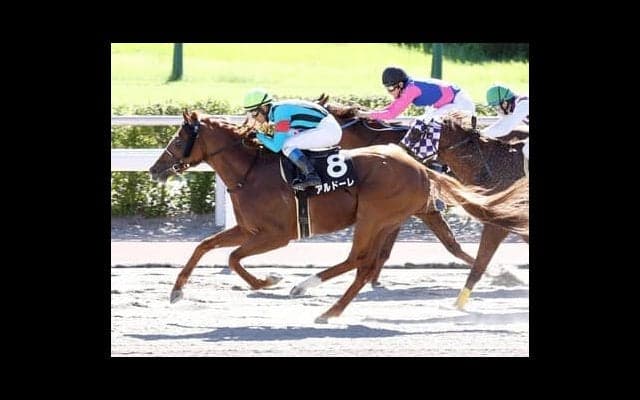 プロキオンＳは「小倉・ダート1700ｍ」で好成績のオルフェーヴル産駒を狙う。良血２頭のダート重賞初制覇に期待