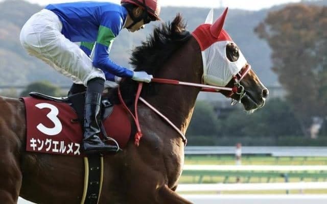 【今日の注目ポイント】函館でダートOP・マリーンS、キングエルメスが英ジュライC出走など