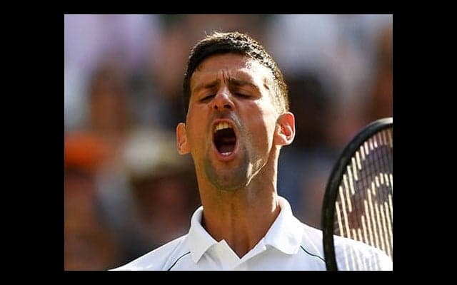  ジョコ決勝「経験が有利に」 