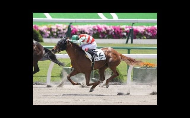 プロキオンＳで高額配当再び!? 小回りのダート戦を得意とする２頭の穴馬に要注意