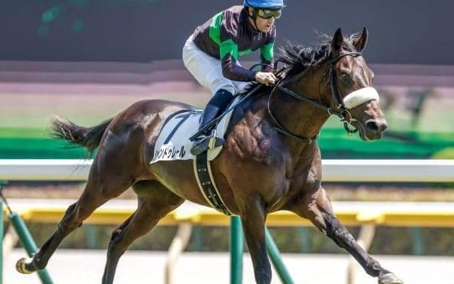 【次走】東京新馬Vのシャンドゥレールは札幌2歳Sへ