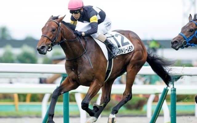 【函館5R新馬戦結果】アスクドリームモアが抜け出してデビュー勝ち