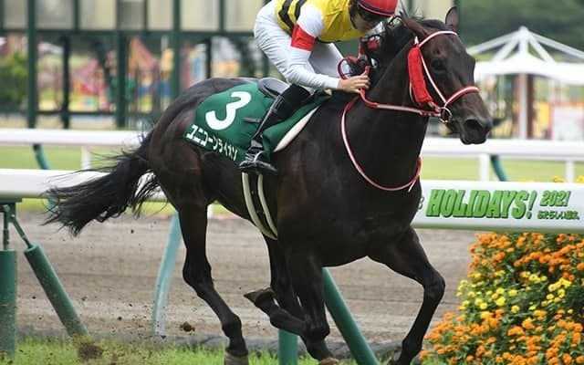 【プロキオンS予想】静観が妥当!? 実績「大威張り」も楽ではない復帰戦