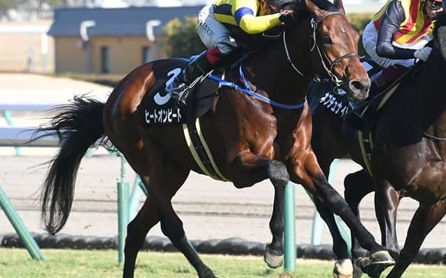 【七夕賞予想】過度な期待は禁物!? あの人気馬に過去の実績が不安材料として圧し掛かる