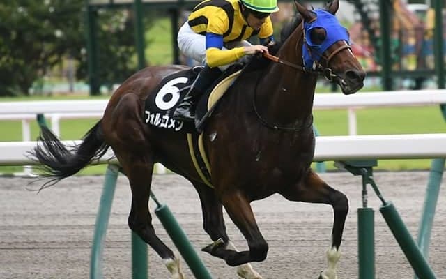 【AI予想・七夕賞】3年ぶり挑戦が功を奏す!? 週初から一転の「◎」人工知能が選んだのは…