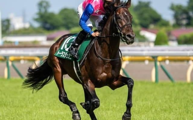 【今日の注目ポイント】福島で七夕賞、小倉ではプロキオンS