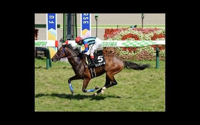 100万馬券続出の七夕賞。穴党記者は福島巧者の穴馬２頭に高額配当の夢を託す