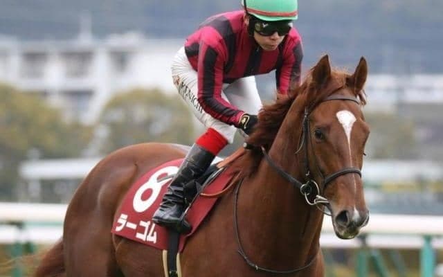 【プロキオンS予想】昨年は雨の中で人気馬総崩れ…今年一流馬へと昇り詰めるのは果たして!?