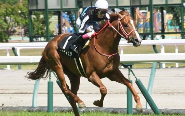 【七夕賞予想】2ケタ人気で馬券になる馬たちには共通点あり？ 波乱を呼ぶ使者の3つの条件とは？